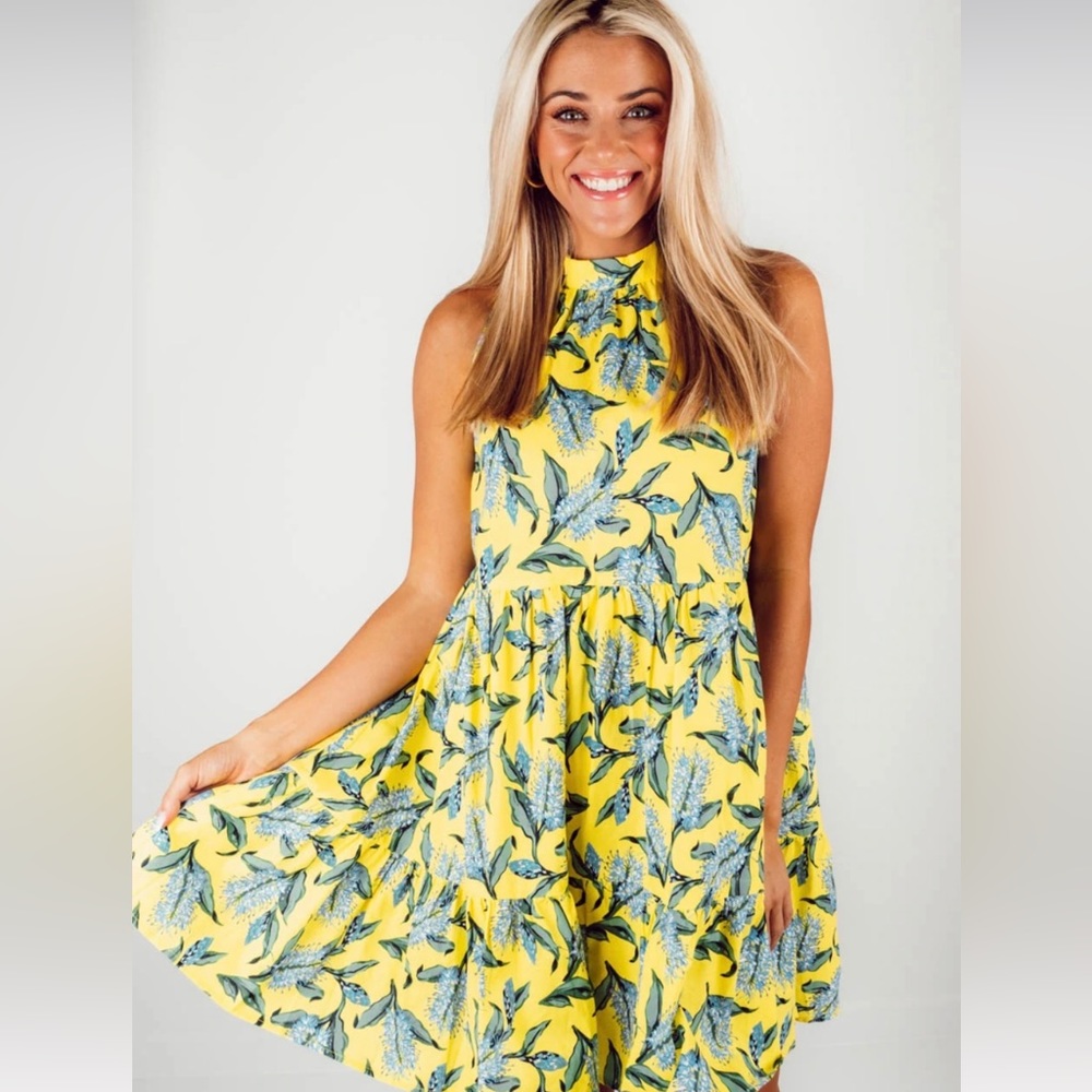 NWT Impeccable Pig Flying Colors Sundress